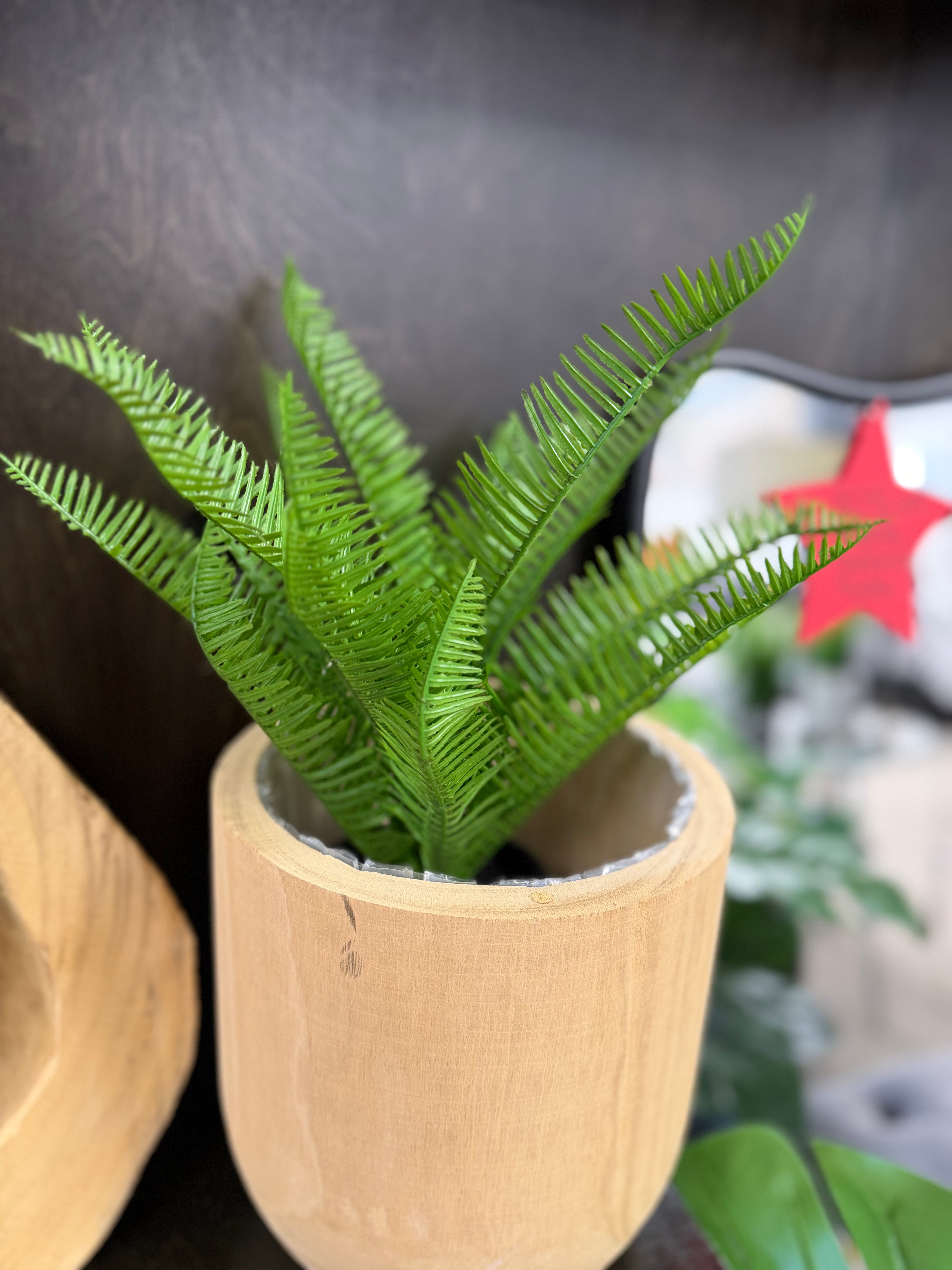 Small Faux Fern