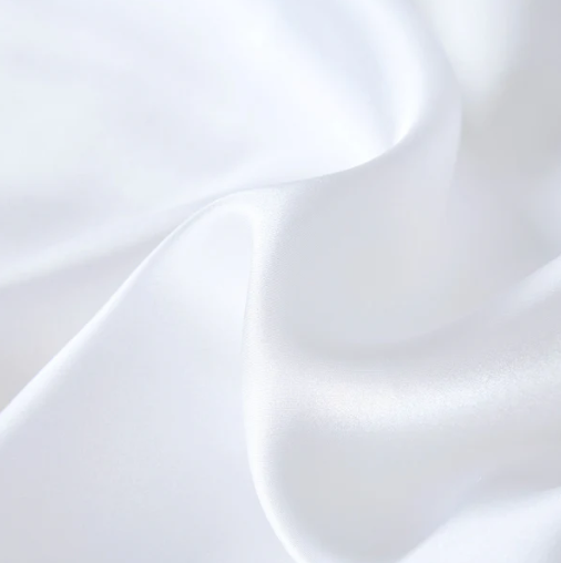 Posh Mulberry Silk Pillow Cases